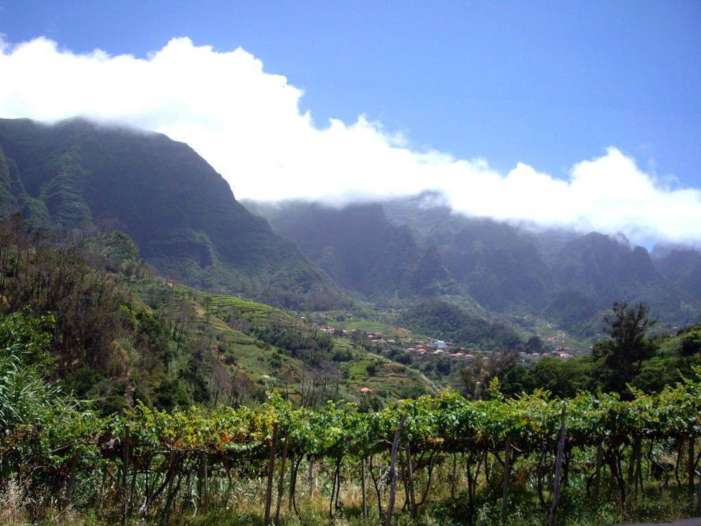 Holidays Madeira São Vicente الغرفة الصورة